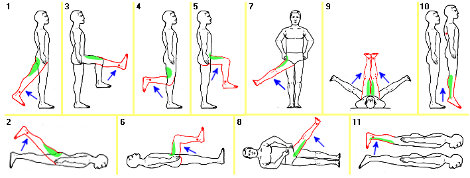 esercizi per gambe cosce e glutei