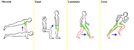 esercizi misti flessioni squat corsa e camminata