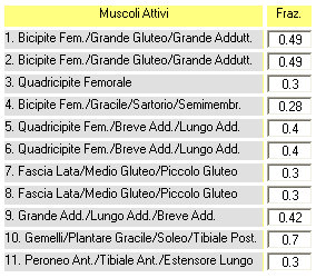 muscoli attivi durante l'esercizio